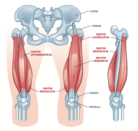 tendinopatia cvadricepsului